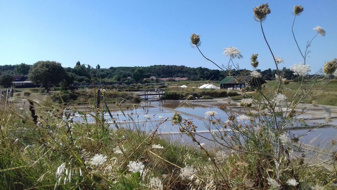 La Chaumette Villa Les Sables-dʼOlonne Kültér fotó